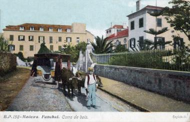 004funchal